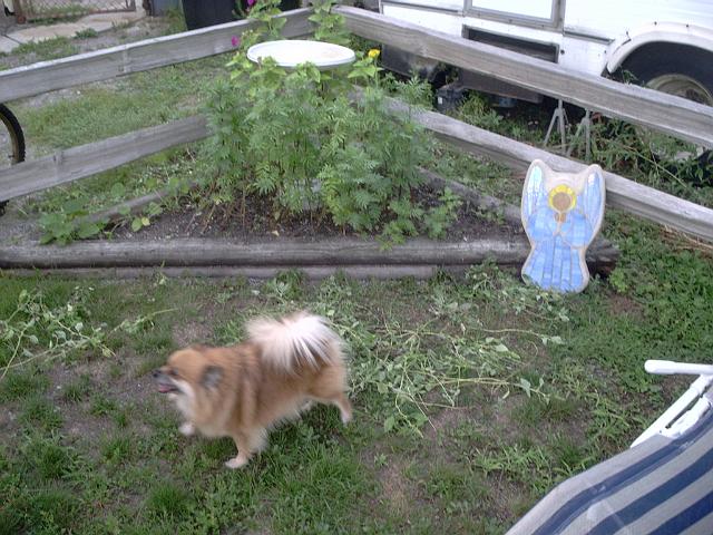 Picture 638.jpg